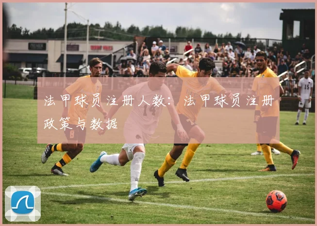 法甲球员注册人数：法甲球员注册政策与数据