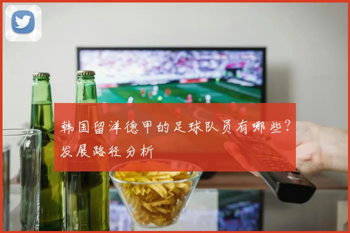 韩国留洋德甲的足球队员有哪些?发展路径分析
