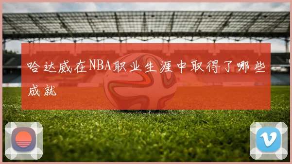 哈达威在NBA职业生涯中取得了哪些成就
