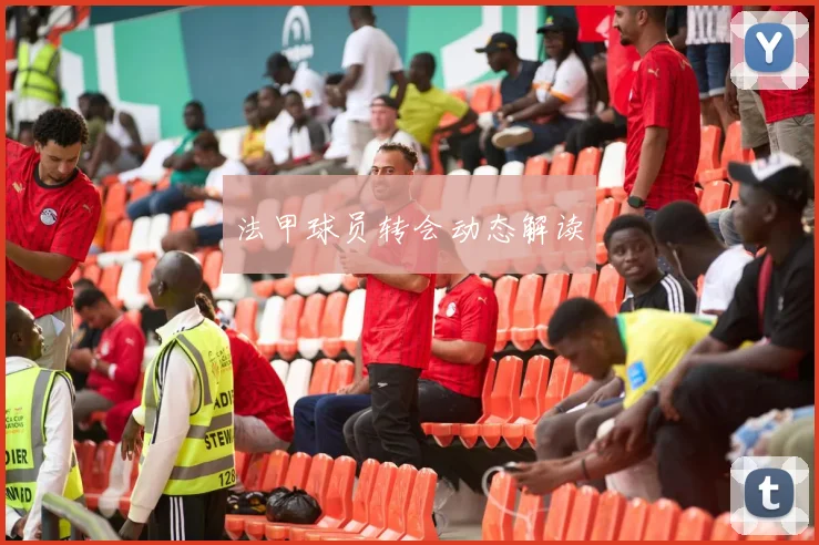 法甲球员转会动态解读