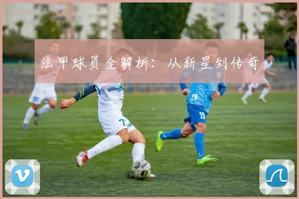 法甲球员全解析：从新星到传奇